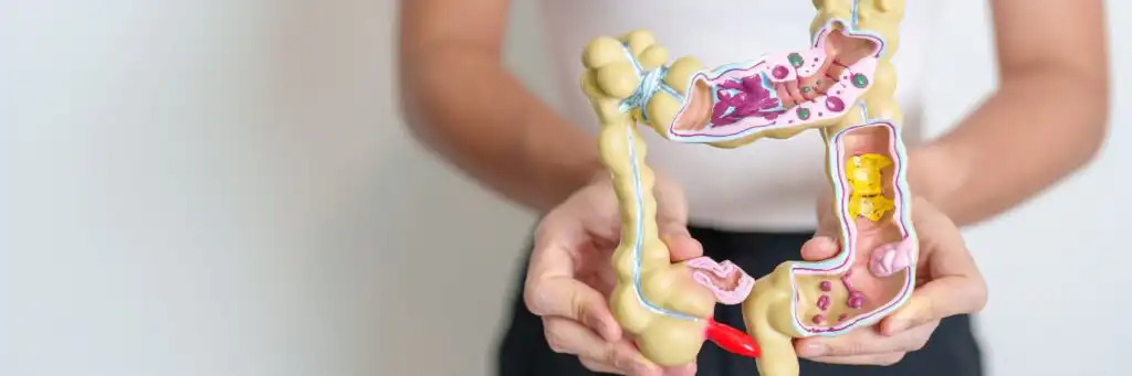 Care for chronic gastrointestinal disorders in Houston, TX