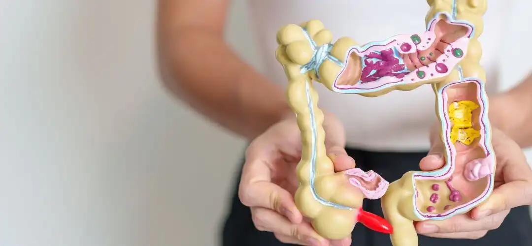 Understanding Chronic Gastrointestinal Disorders: Symptoms, Causes, and Treatment Options